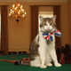 Image for article titled A Question About Brexit: Does 10 Downing Street Get to Keep Larry the Cat?